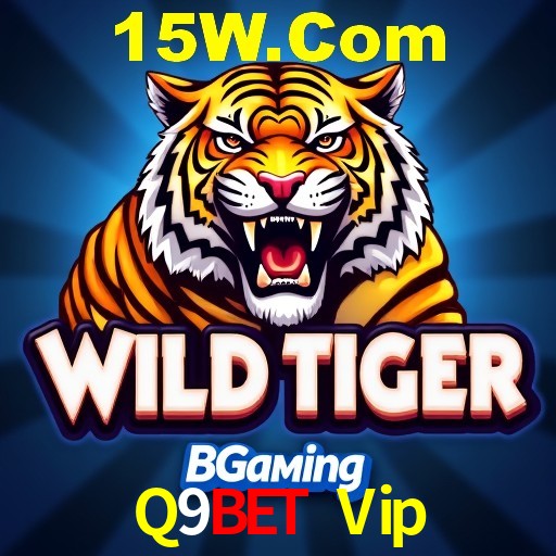 Descubra o Programa VIP da Q9Bet Vip: Vantagens Exclusivas para Jogadores