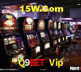 Sistemas de Segurança Q9Bet Vip