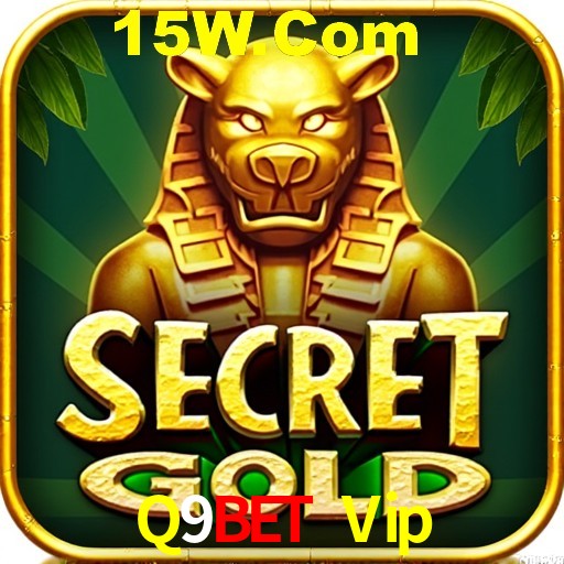 Descubra a Essência do Q9Bet Vip: Nossa História e Compromissos
