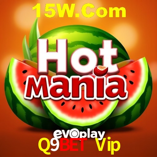 A Emoção da Loteria na Q9Bet Vip: Uma Chance de Mudança de Vida