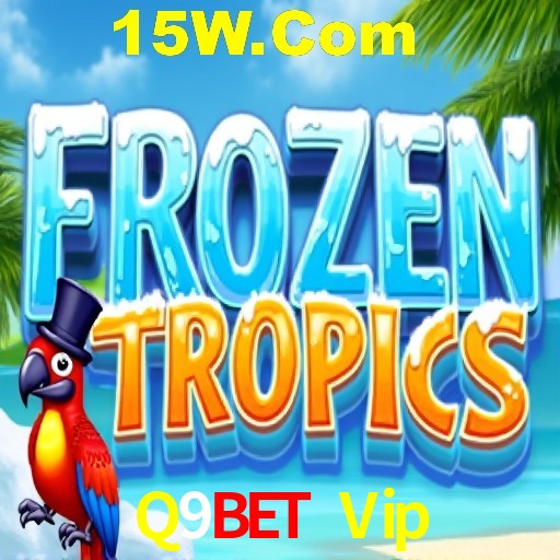 Provedores de Jogos Q9Bet Vip